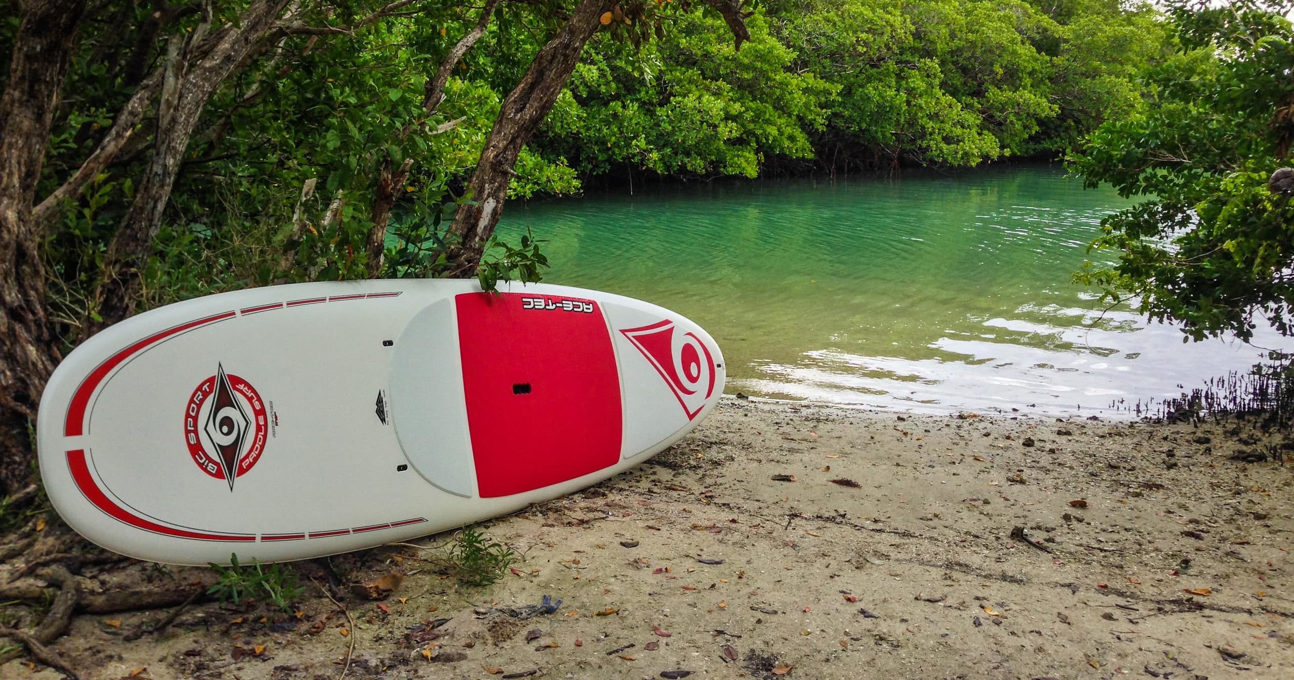 Rental - Paddleboard