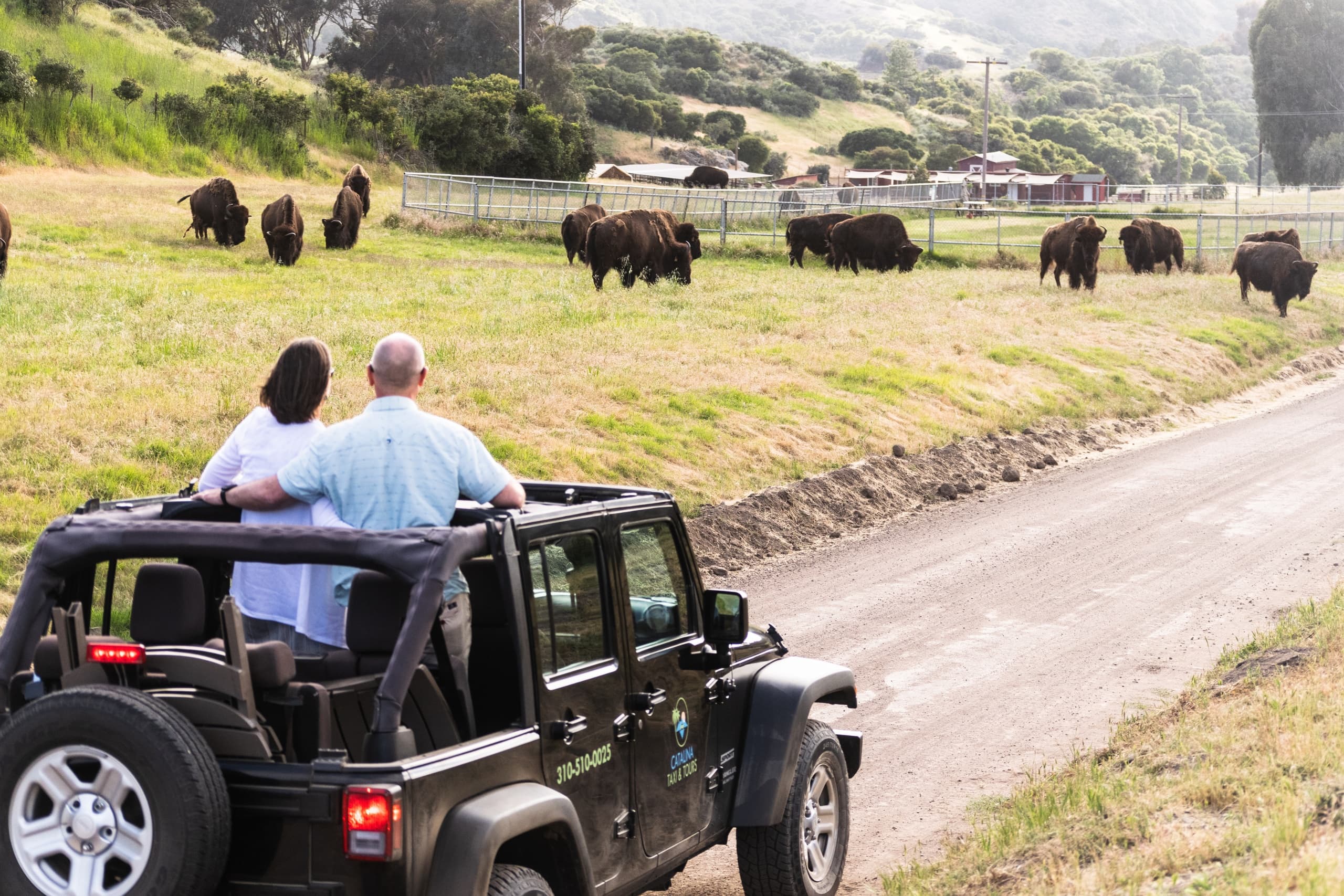 3.5 Hour Private Eco Tour