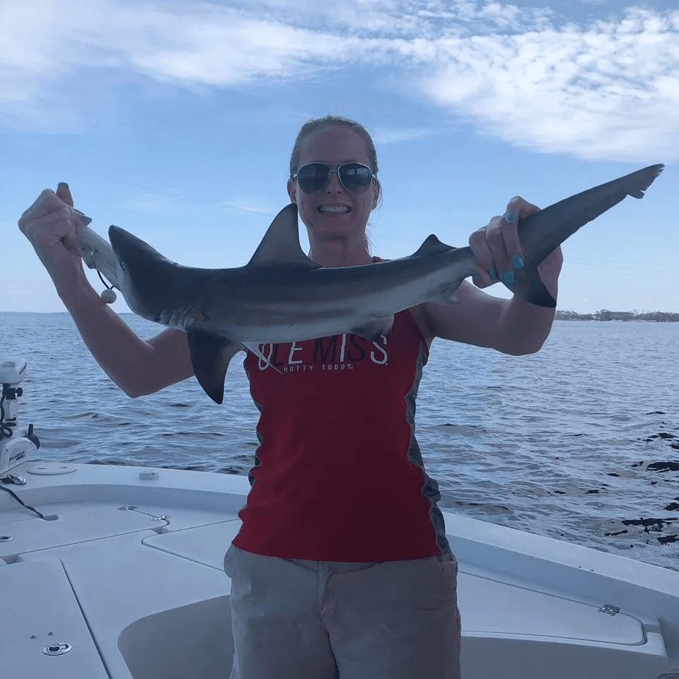 Four Hour Shark Fishing