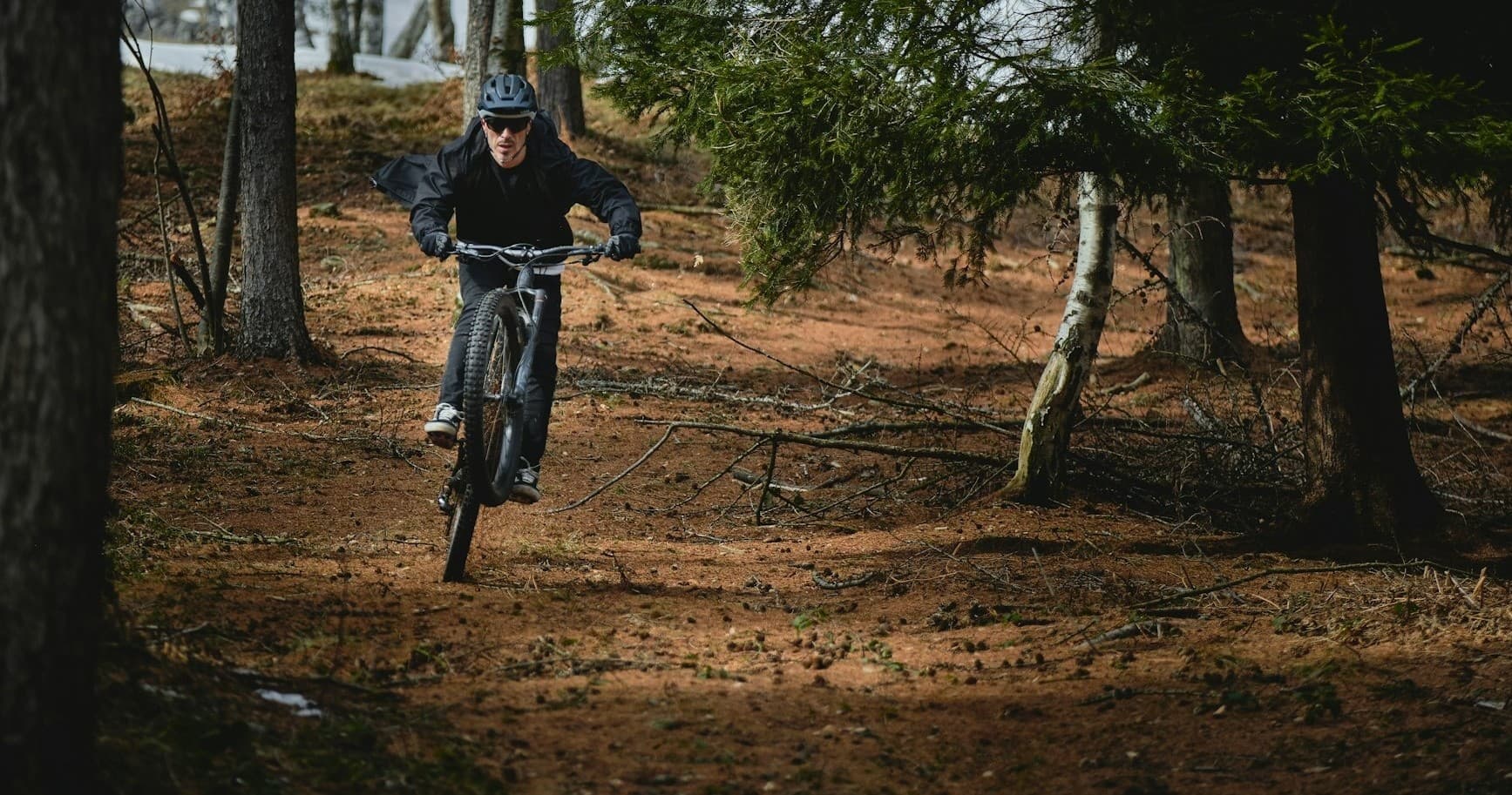 E-bikes Large