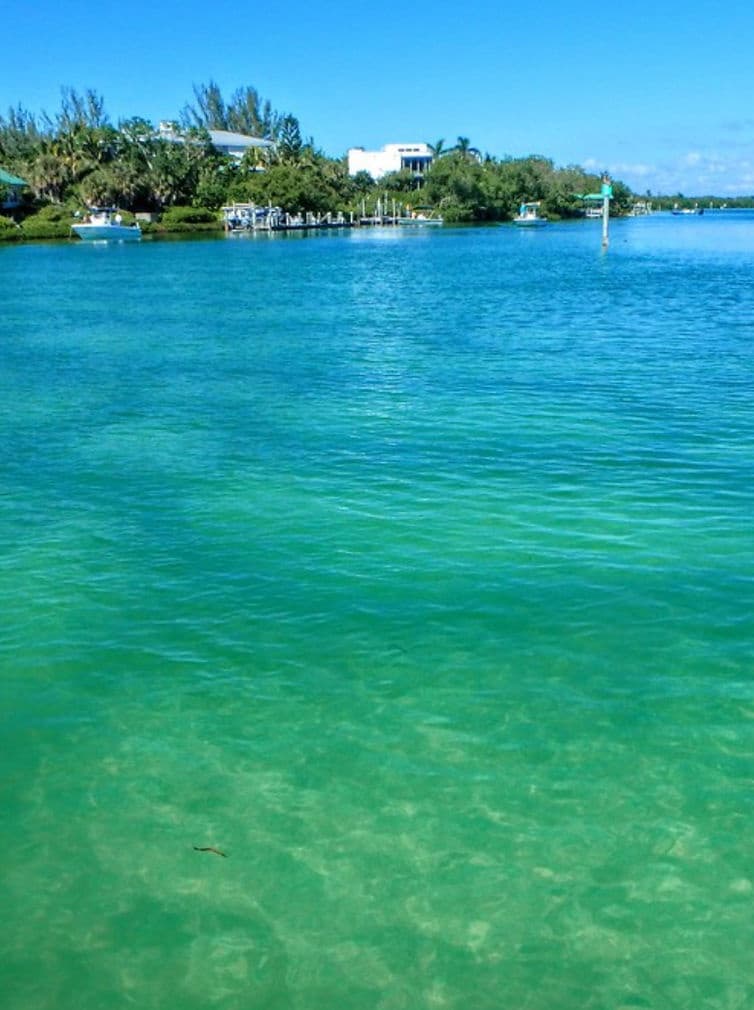 Pine Island