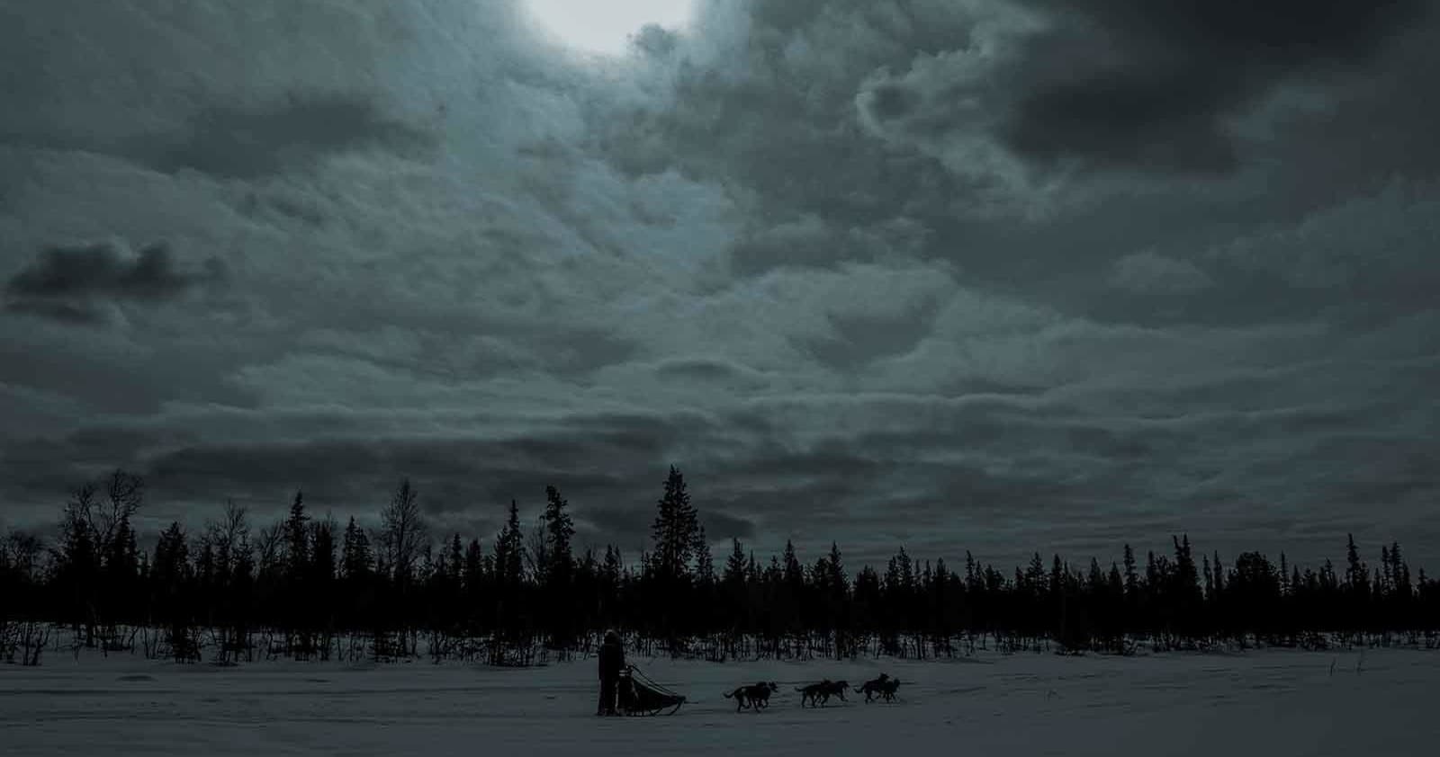 Overnight Sleddog Tour