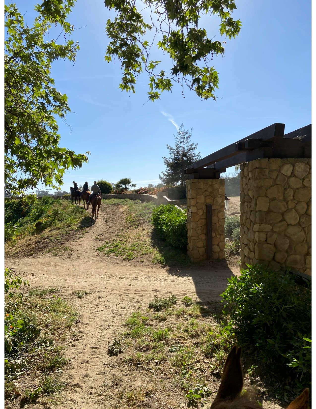 90 Minute Private Trail Ride