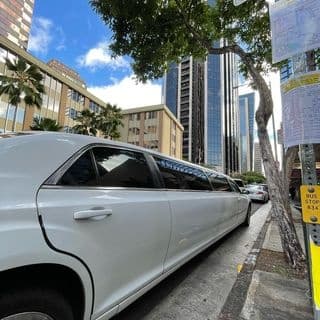 Lynx Limousine Charters