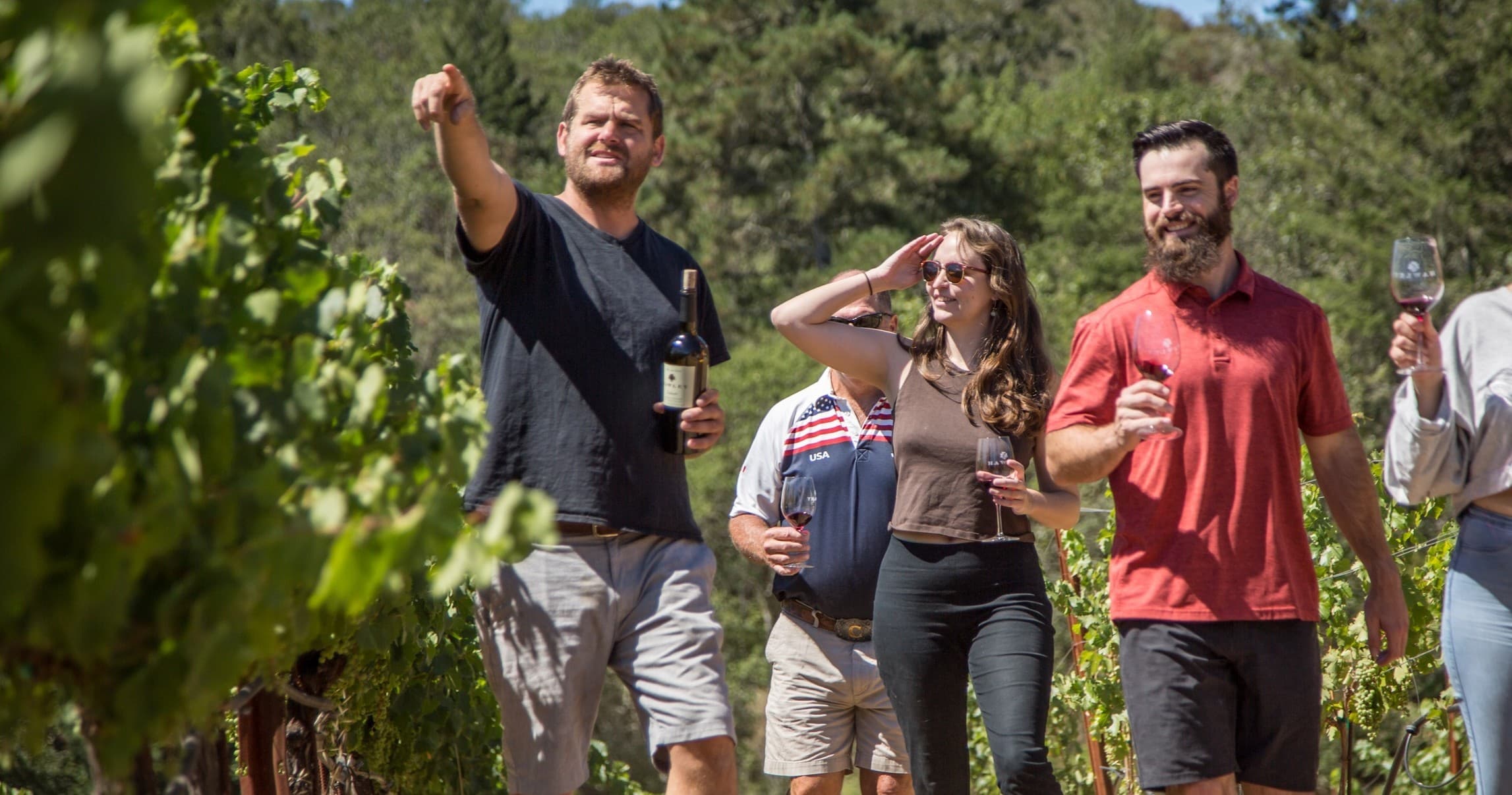 Estate Vineyard & Winery Tour