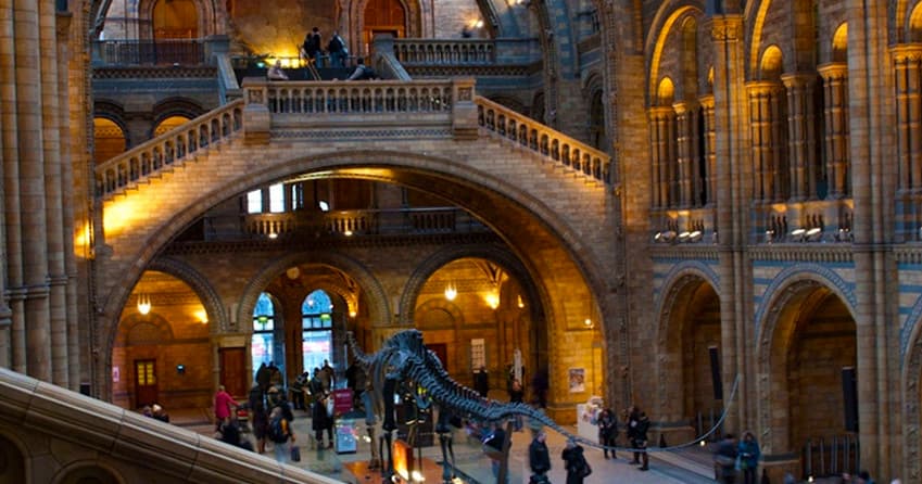 Natural History Museum of London Guided Tour - Private (ENGLISH)