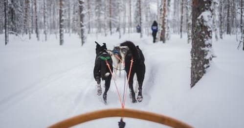 3-Day Ultimate Adventure - Private Tour