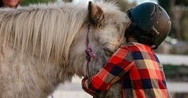 Pony Encounter