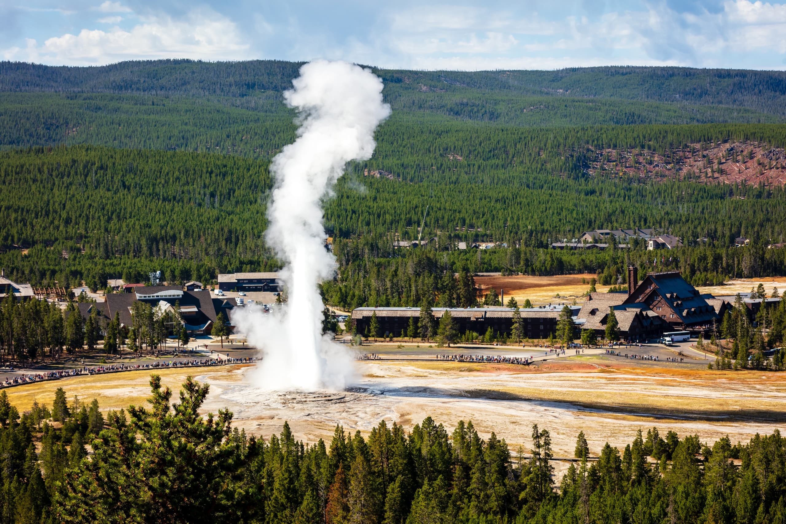 Yellowstone: Private Day Tour