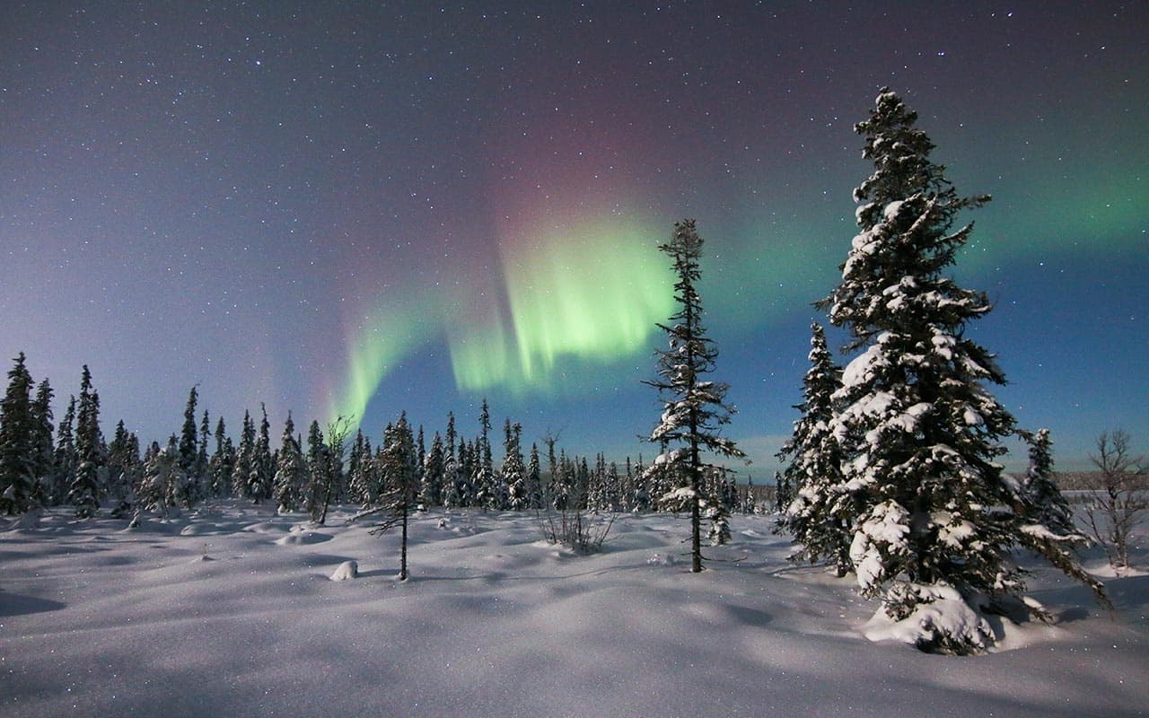 Northern Light Chase by Minivan