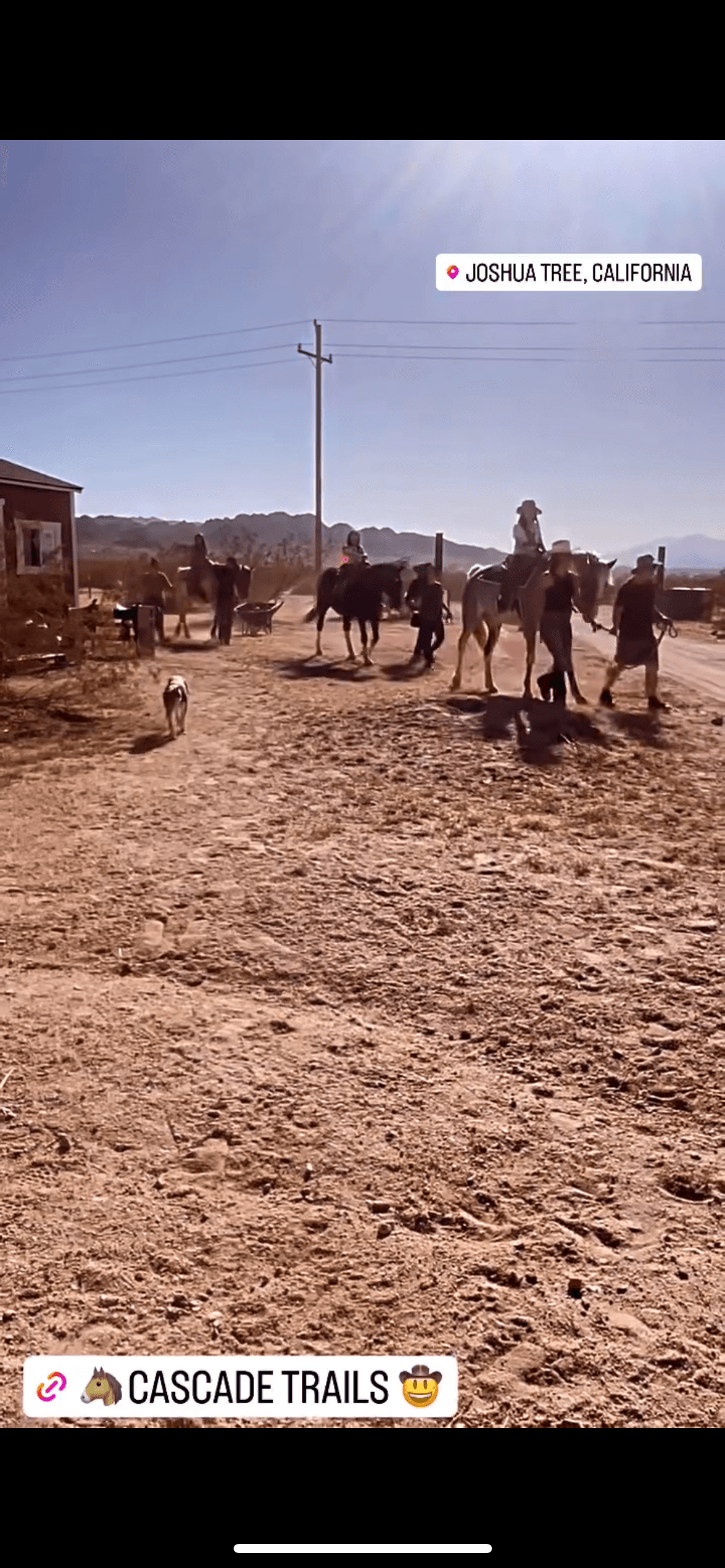 Pony Ride