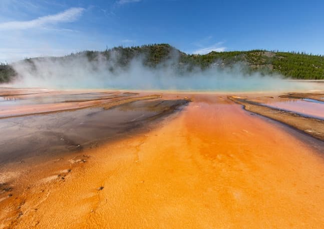 Yellowstone Guided Tour