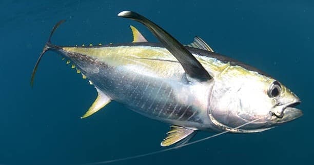 Offshore Private Overnight and Multiday