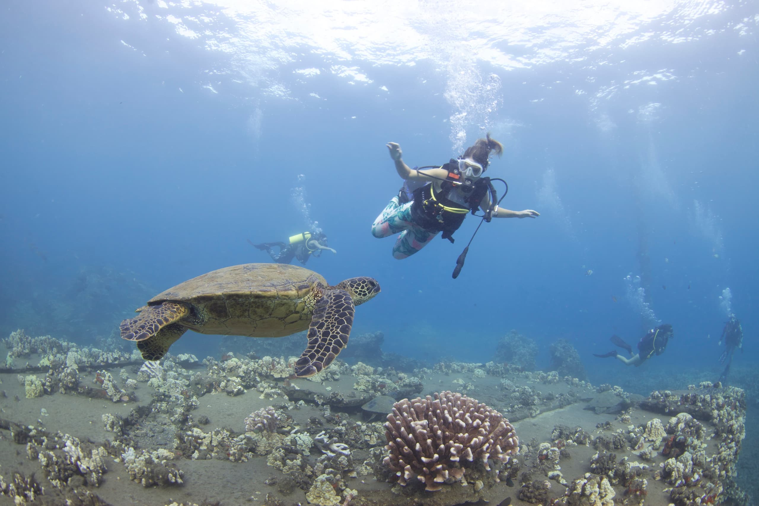 Discover Scuba from Shore