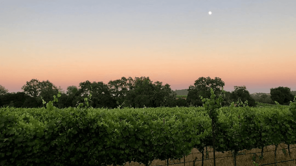 A Taste of Russian River Valley