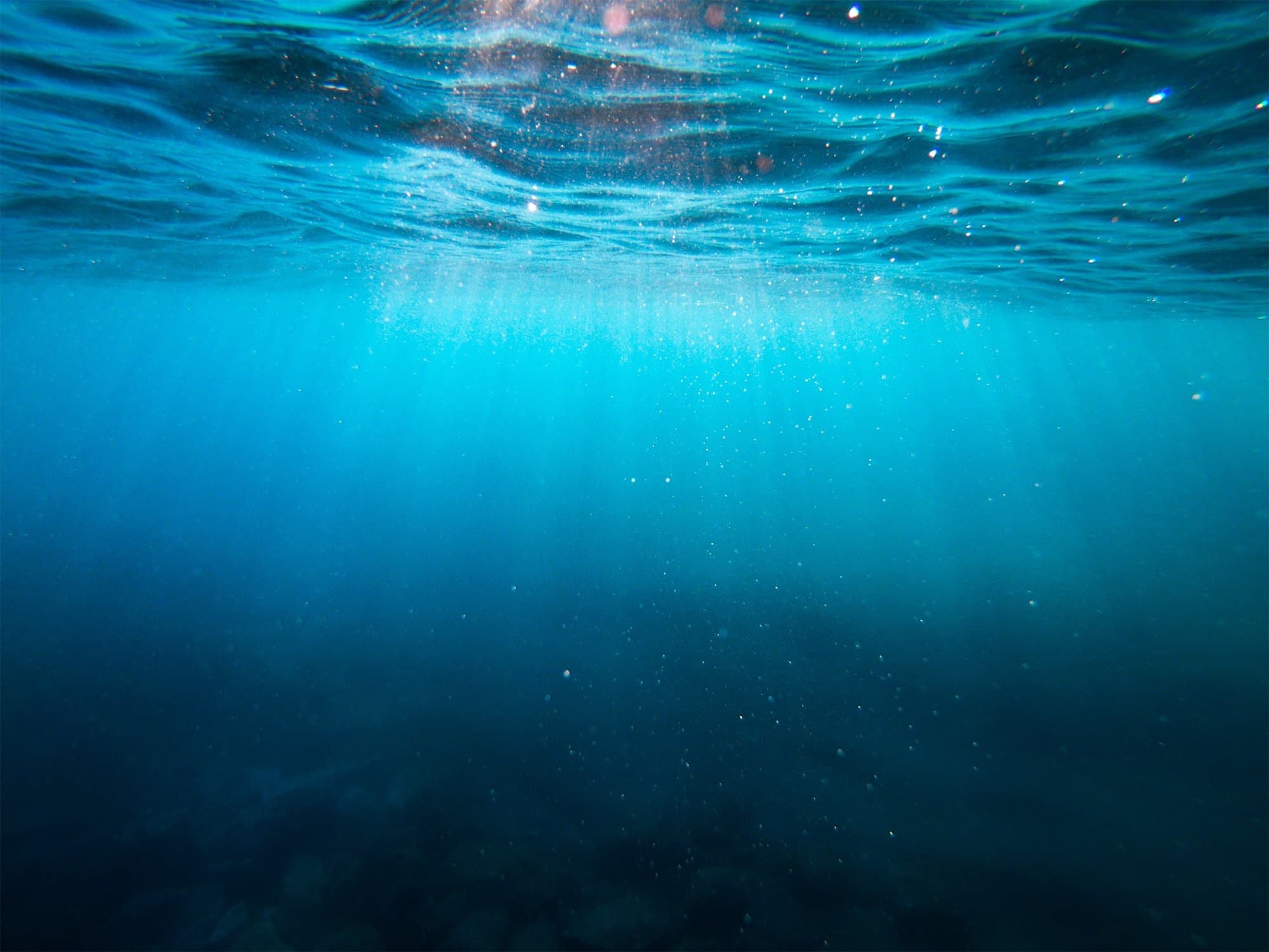 WAVE Coastal experience
