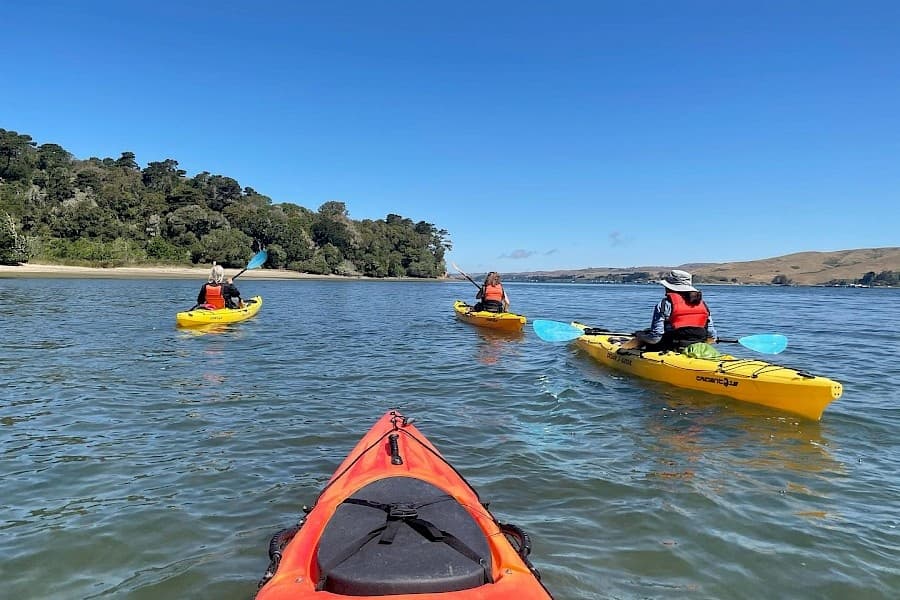 Daily Kayak & Canoe Launch Fees