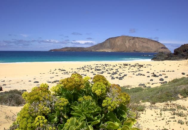 Graciosa a tu aire