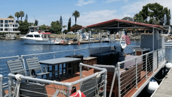Party Cat  - Mission Bay