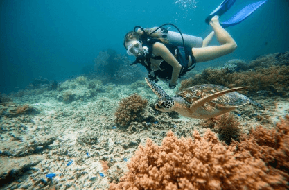 Morning 2-Tank Scuba Dive