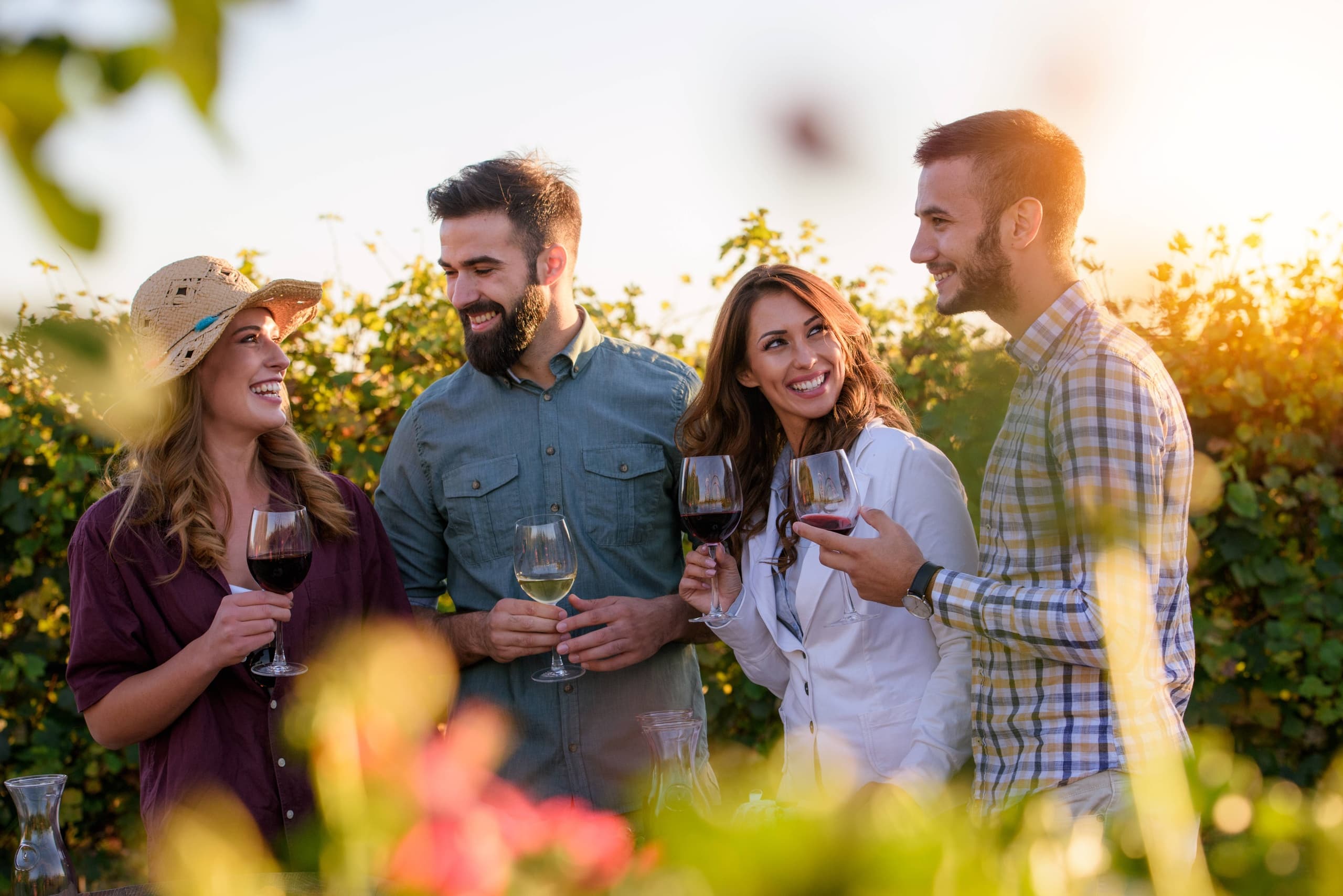 Napa and Sonoma Valley Wine Country Discovery Tour 1 day from San Francisco