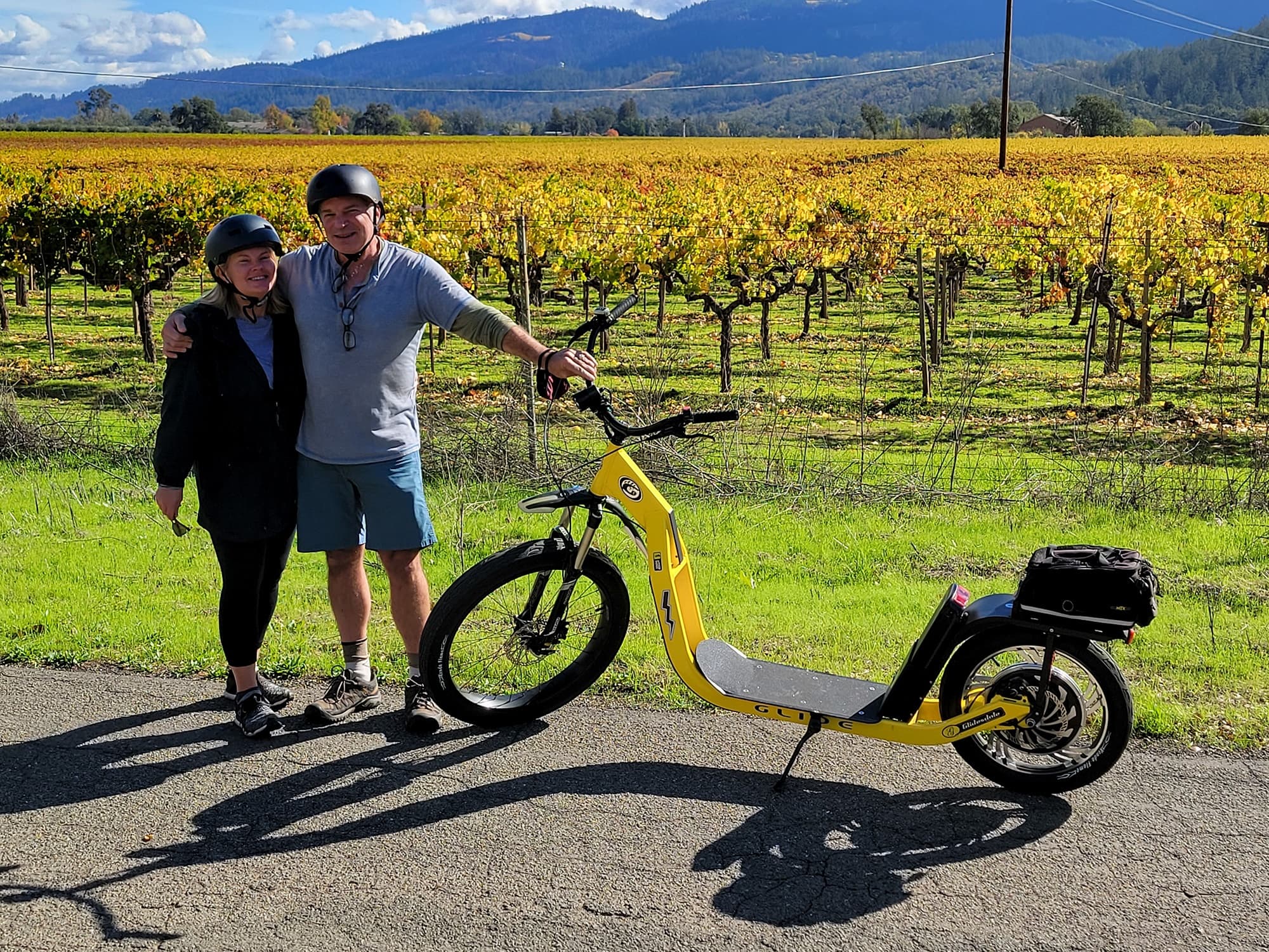 Napa Wineries Tour