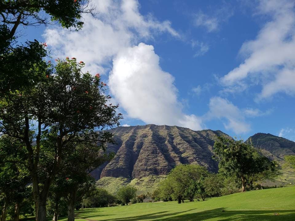 Oahu Tour - Pearl Harbor, Dole Pineappl;e,  Oahu Island Tour