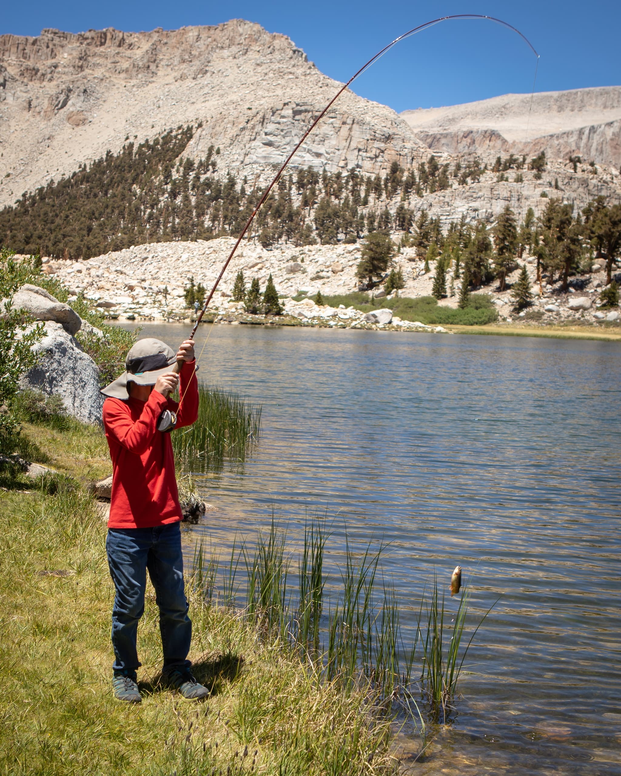 Day in the Sierra - Cottonwood