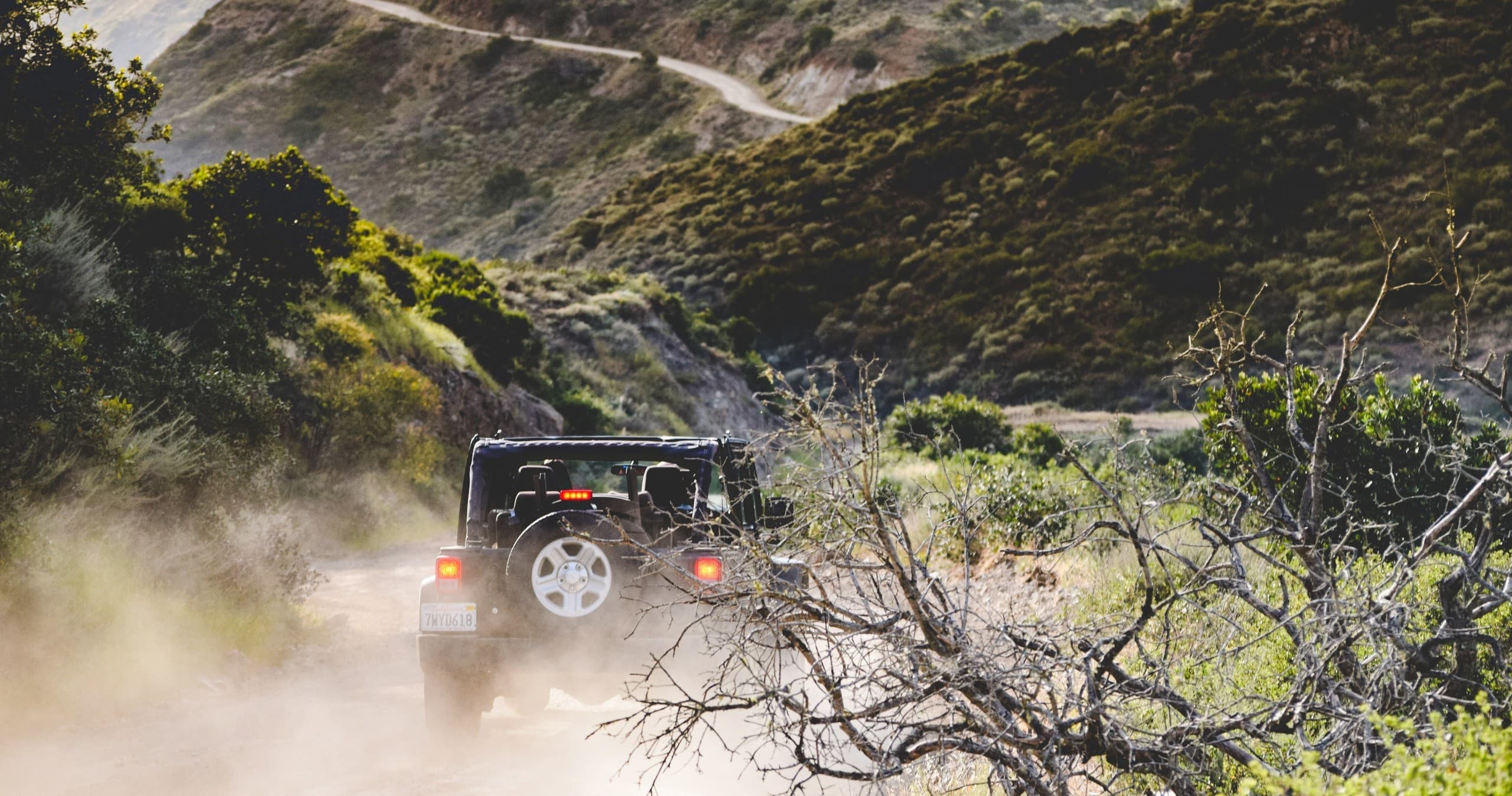 2.5 Hour Private Eco-Tour