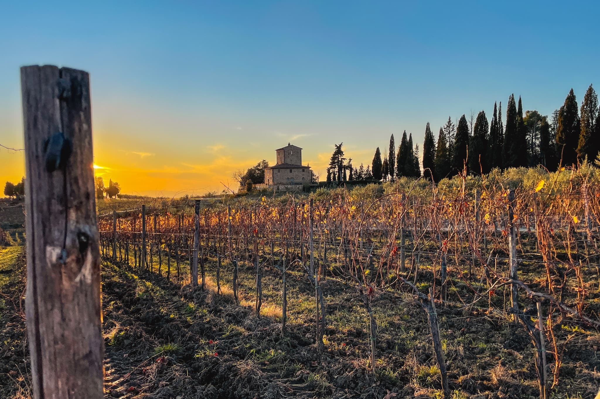 Wine Hiking Chianti Classico Day ®