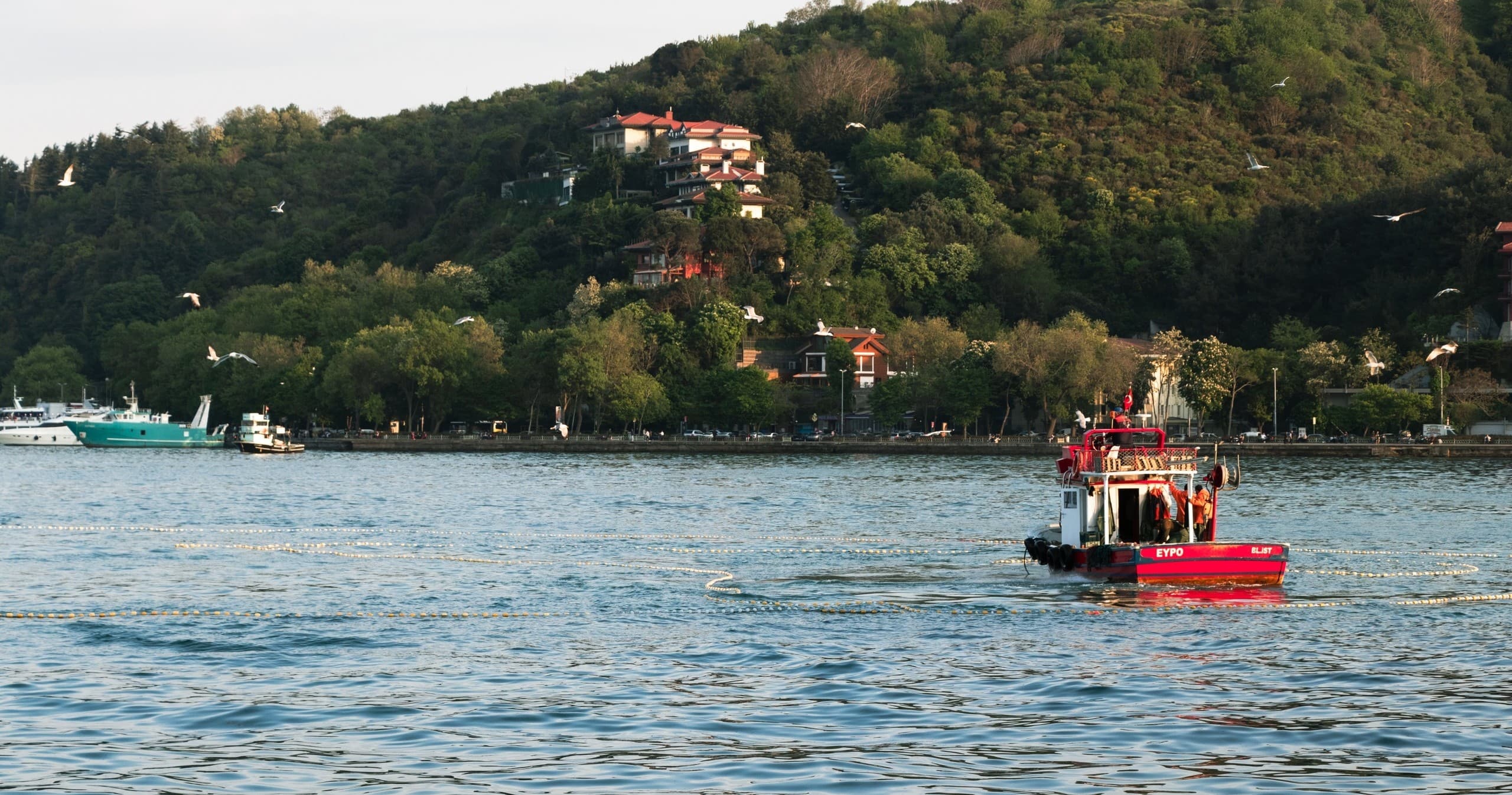 Boat Rentals