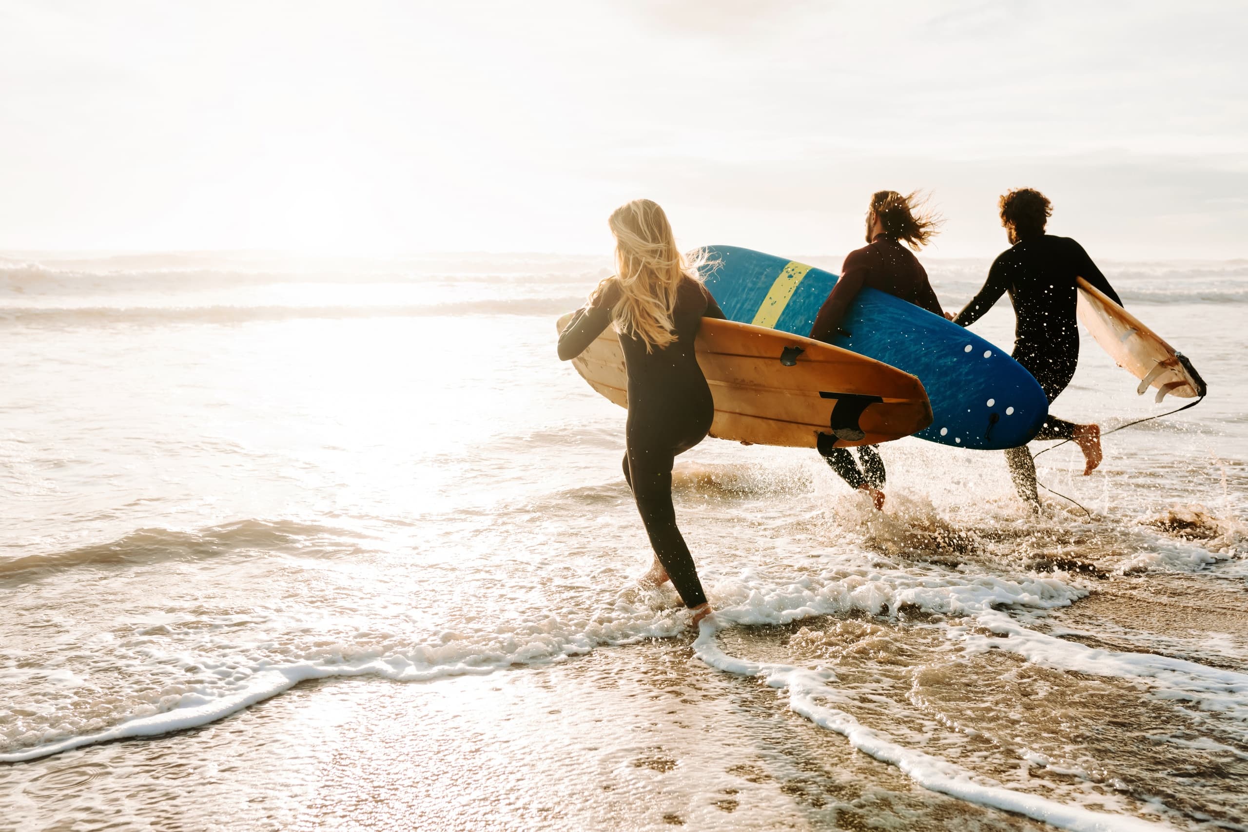 Surf Safari