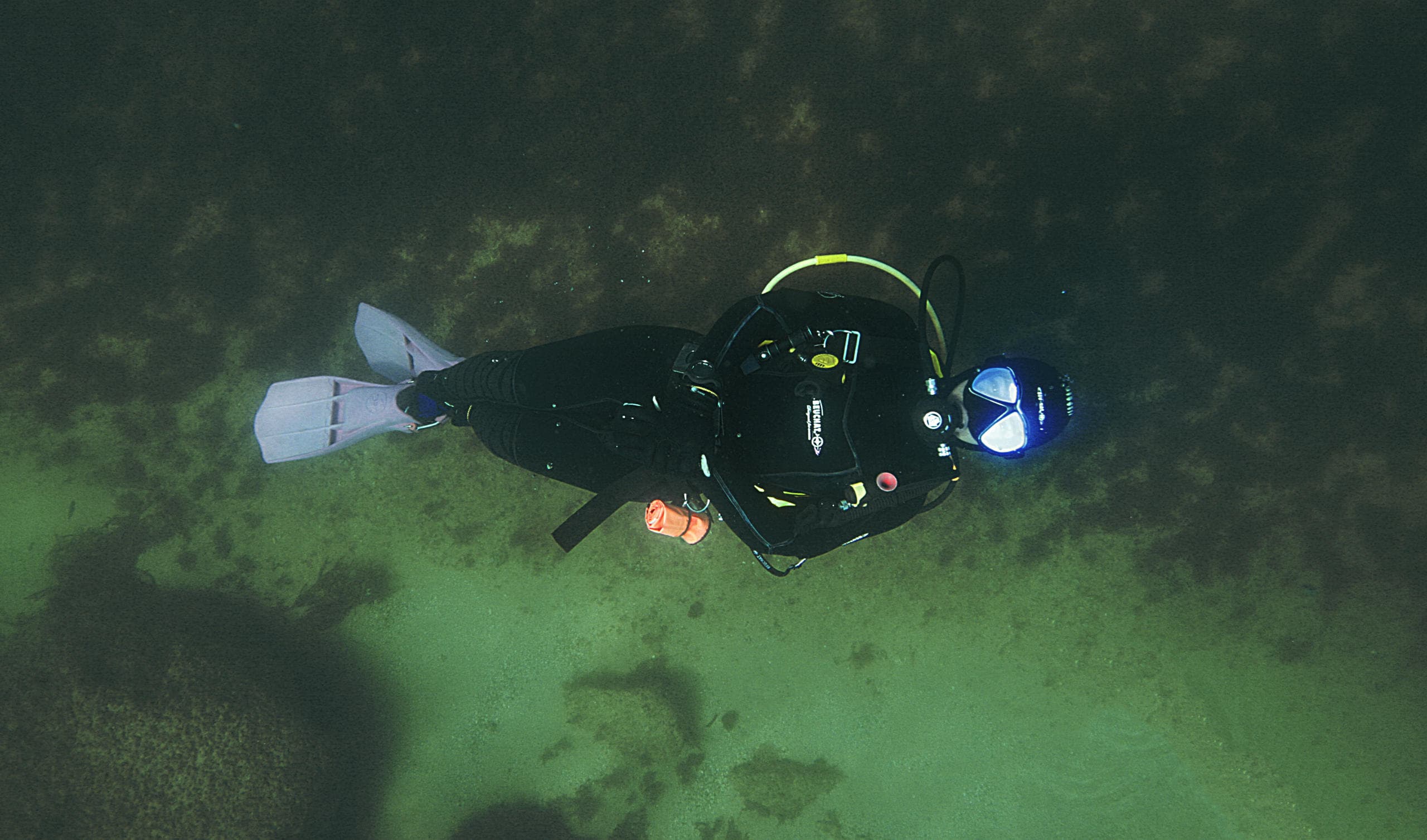 Try Scuba Diving (Pool + Sea)