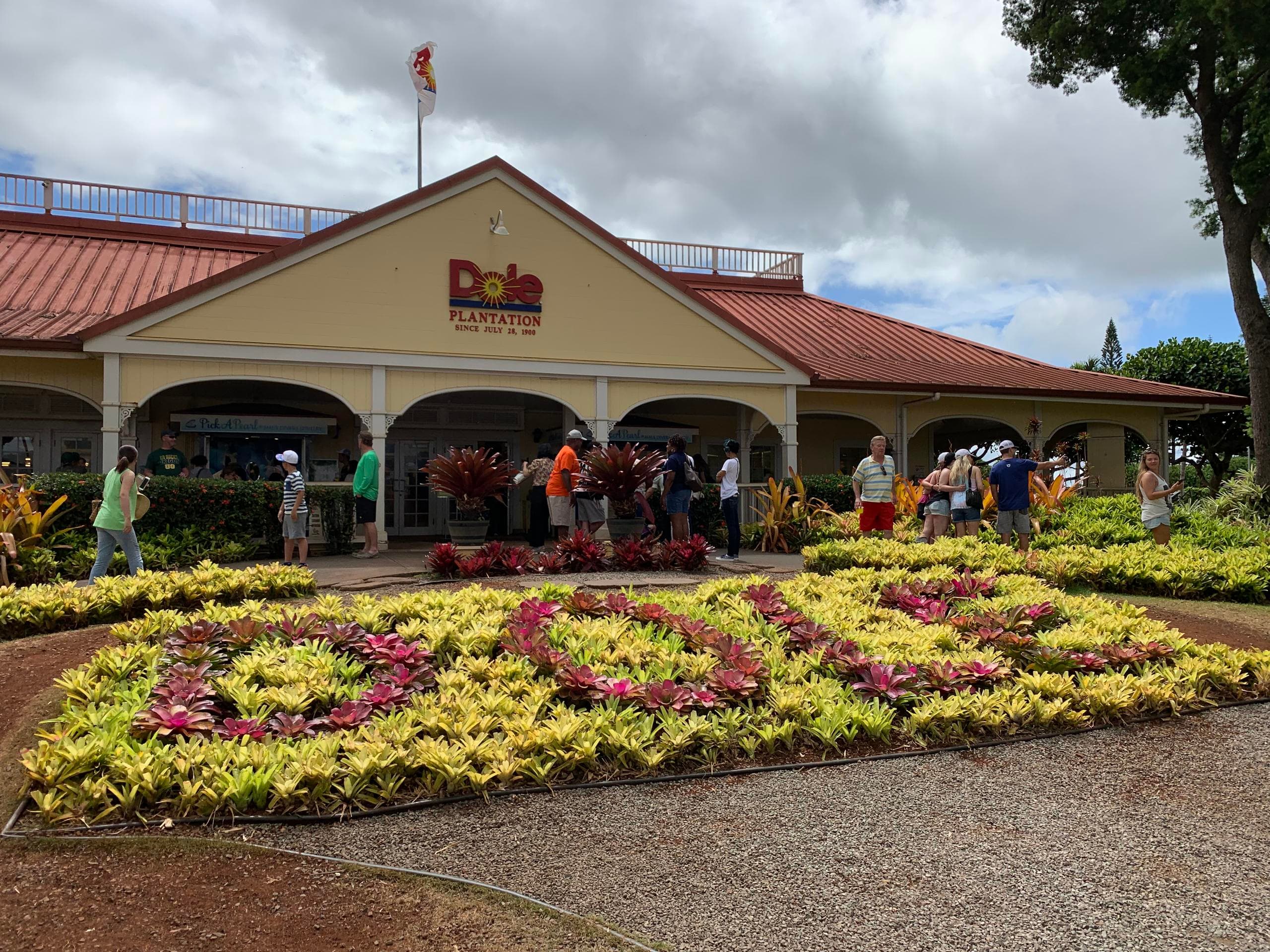 Oahu Tour - Dole Pineapple Plantation, Haleiwa Historical Town  & Honolulu Historical Sites