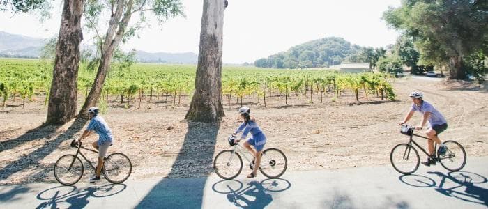 1-Day Bike Rental | Sonoma