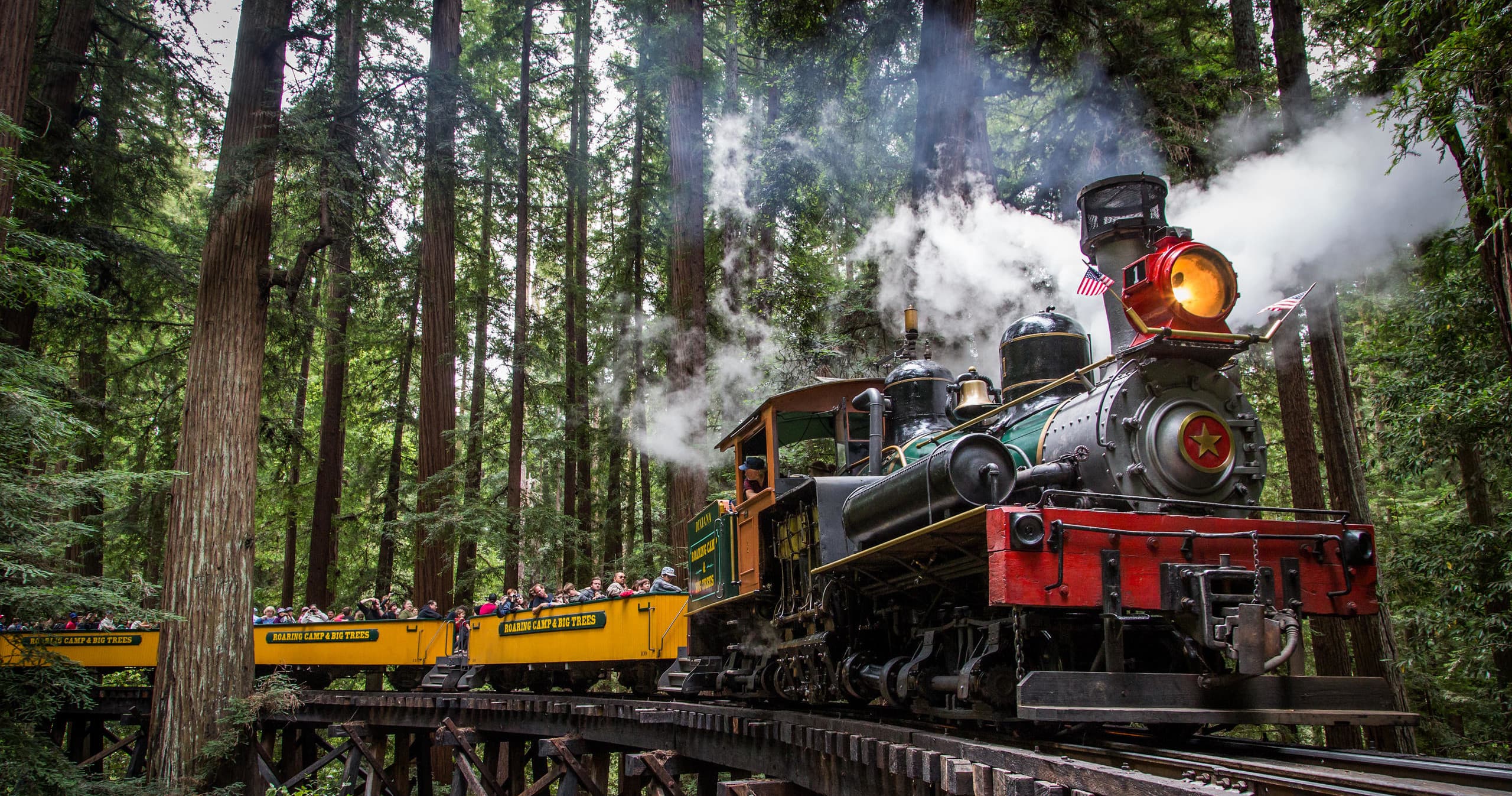 Redwood Forest Train