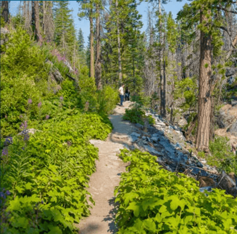 Guided Nature Hike