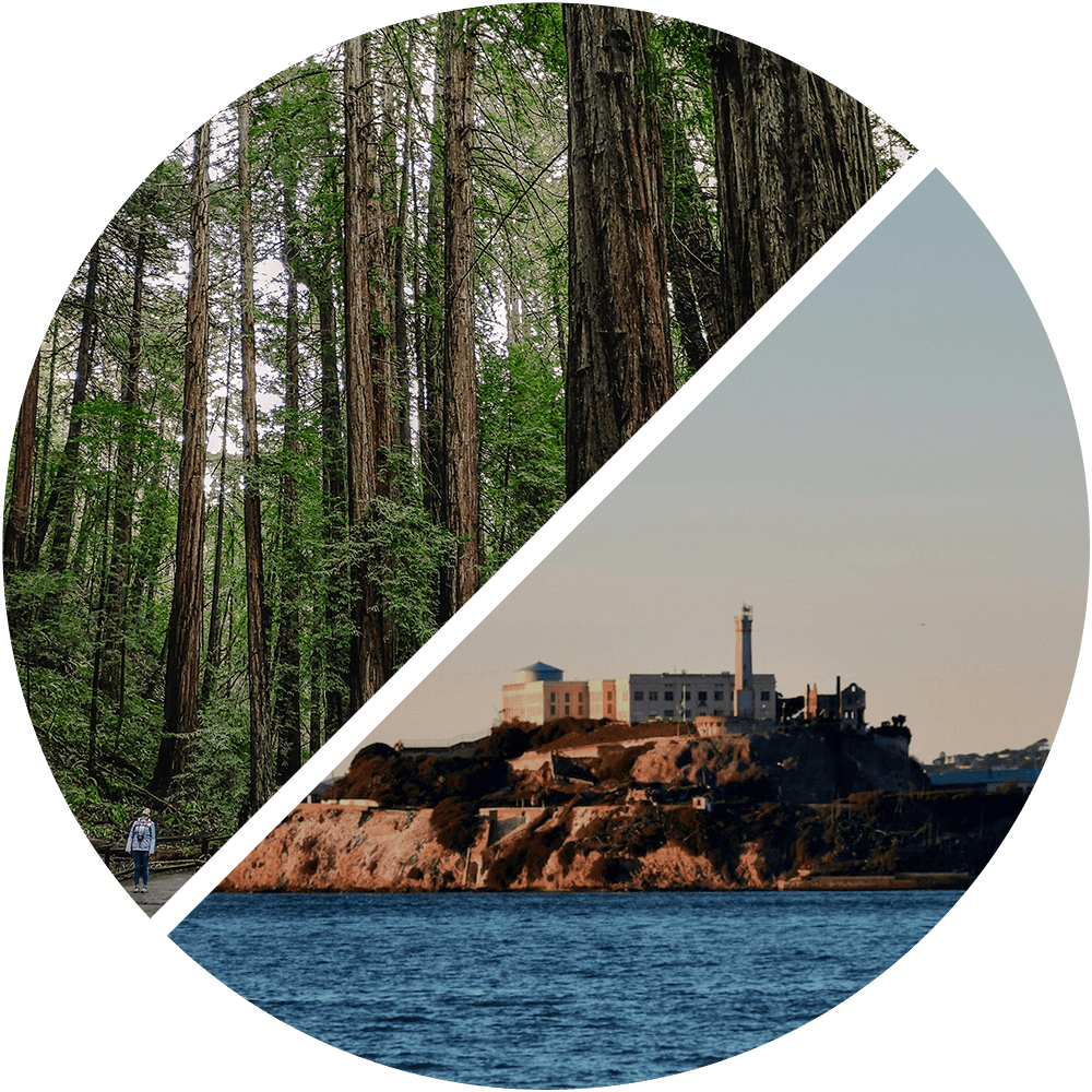 See It All: Alcatraz, Muir Woods, San Francisco, and Sausalito