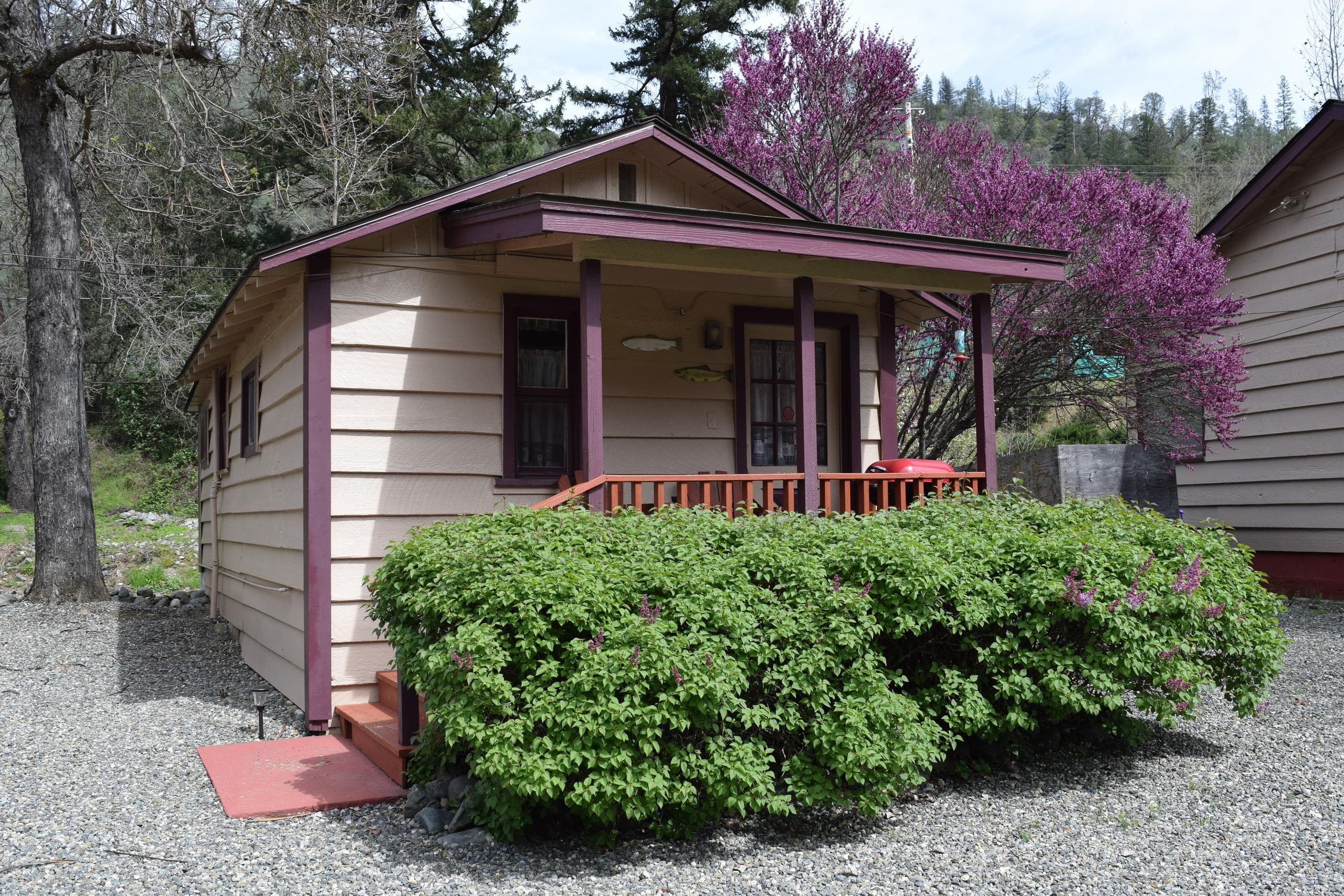 Cedar Cabin