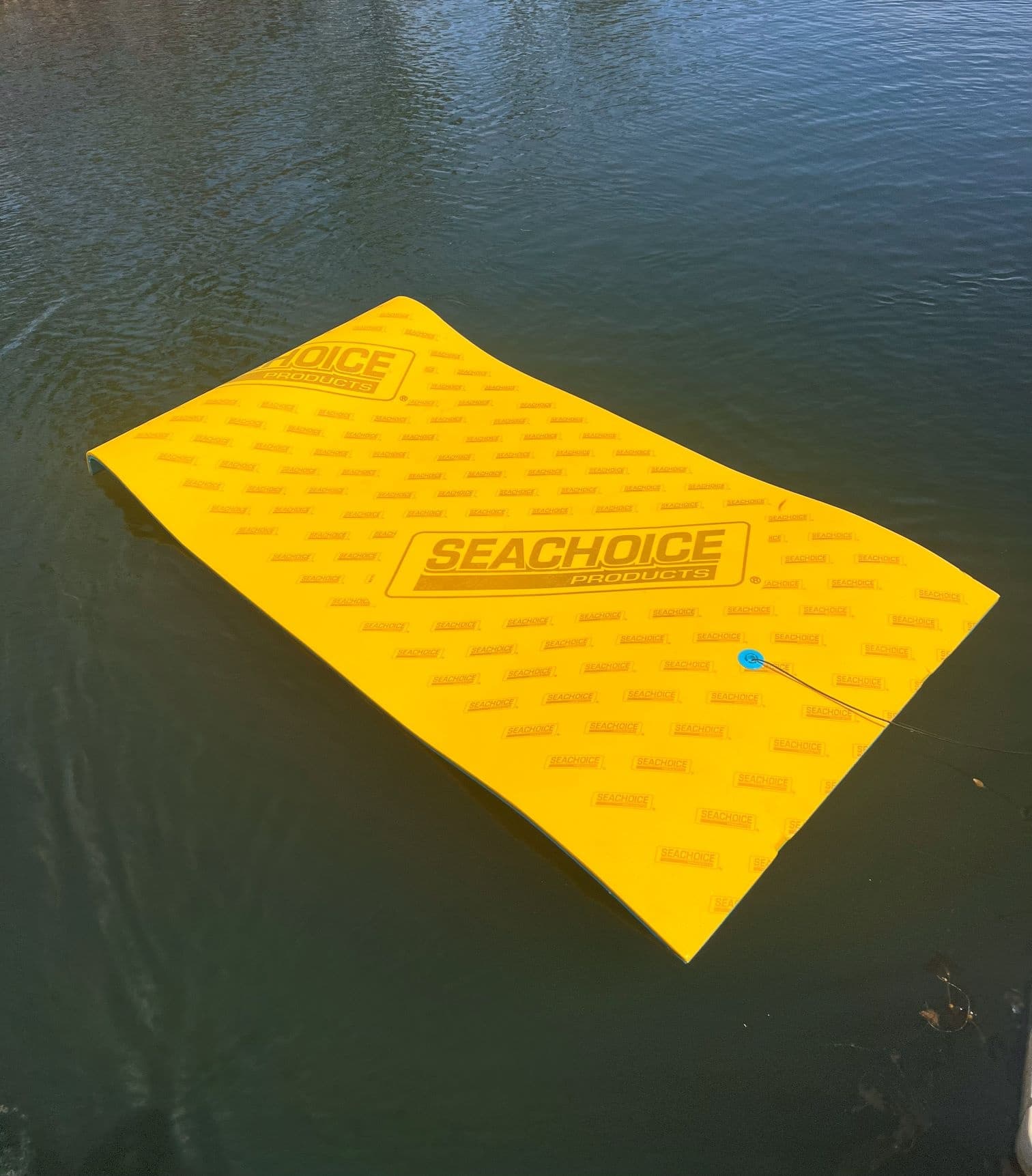Lily Pad Raft Rental