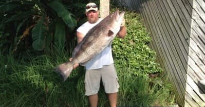 4 Hour Trolling Trip