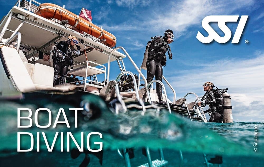 Guided Boat Dive