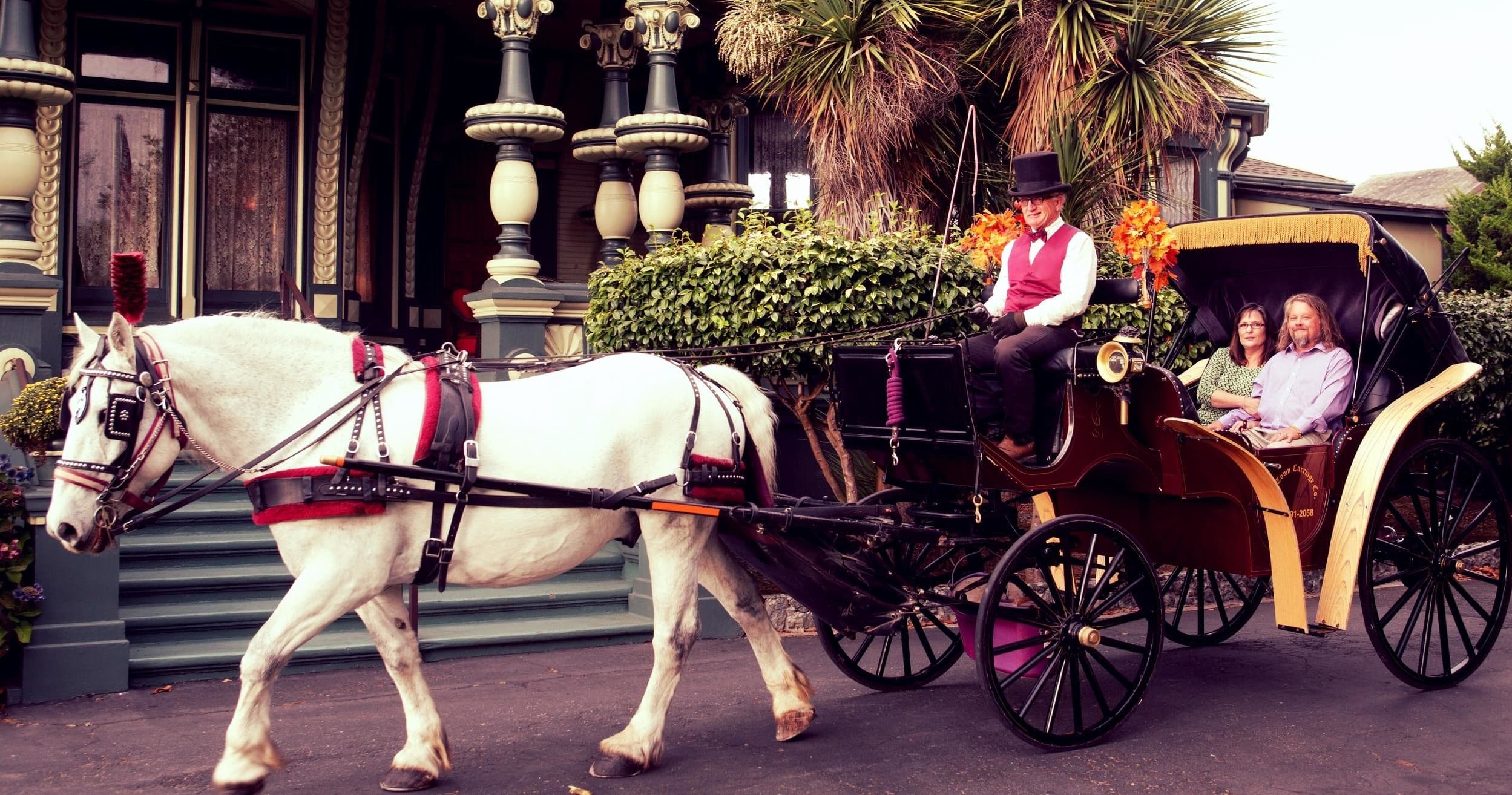 60 Minute Private Carriage Ride