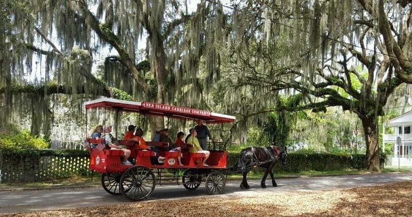 Historic Carriage Tour