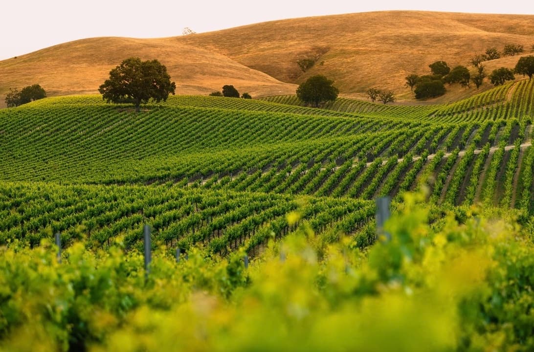 Wine Country from Santa Barbara, Solvang