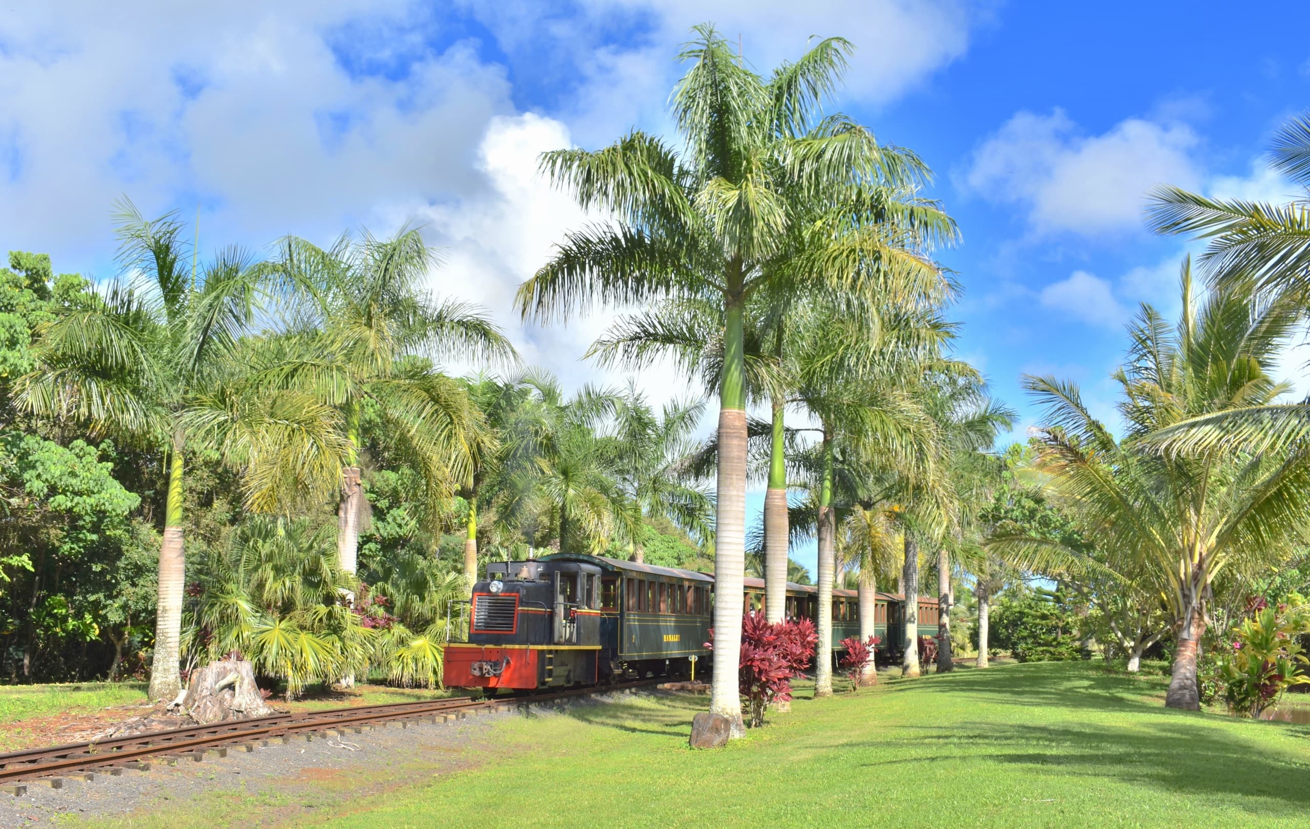 Train, Lunch, Orchard Adventure!