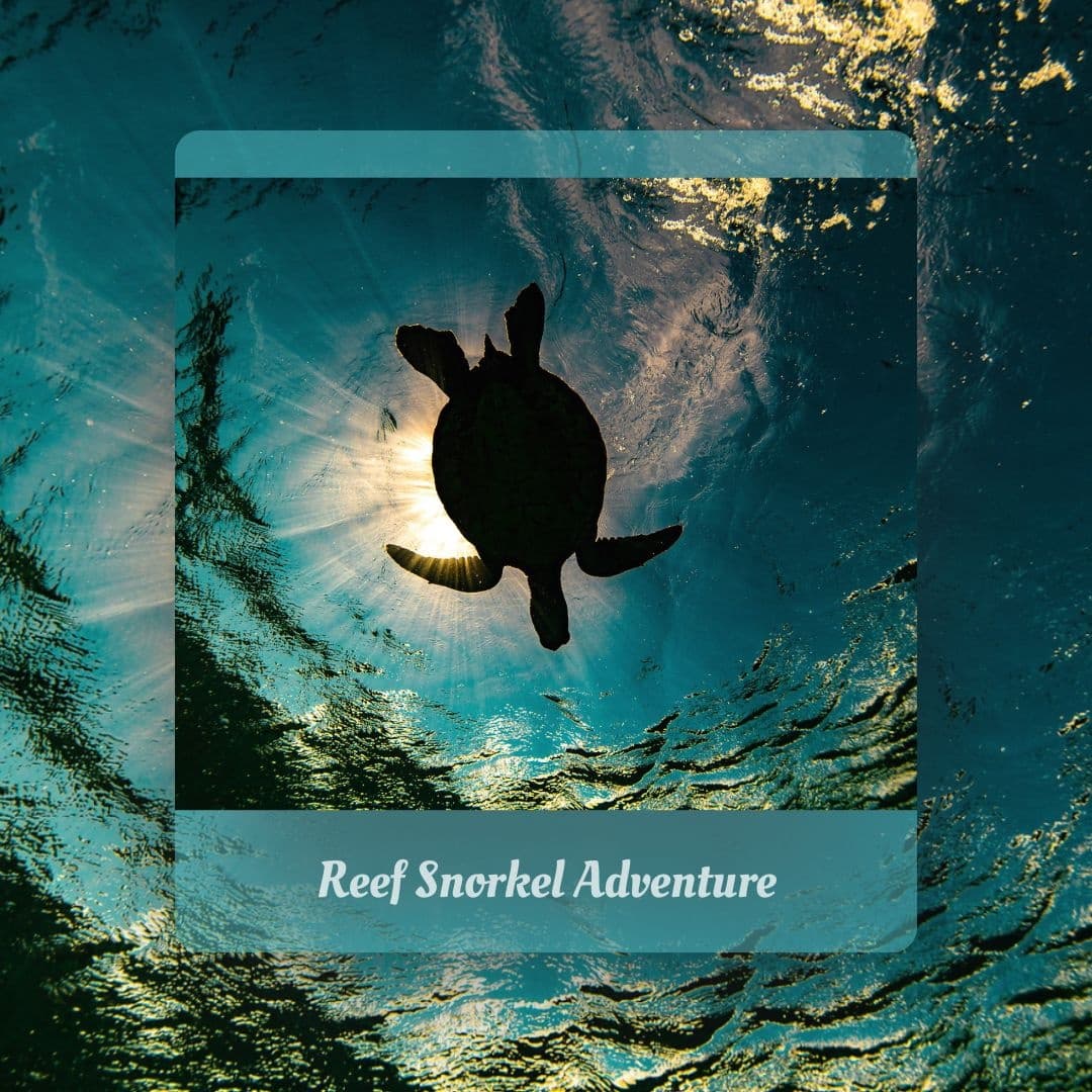 Snorkel Tour • Banyan Tree Adventures