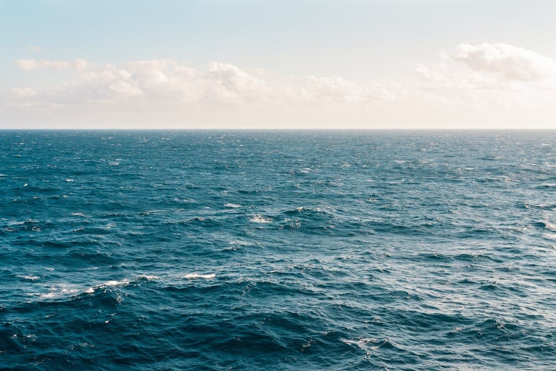 Day Sail Experience