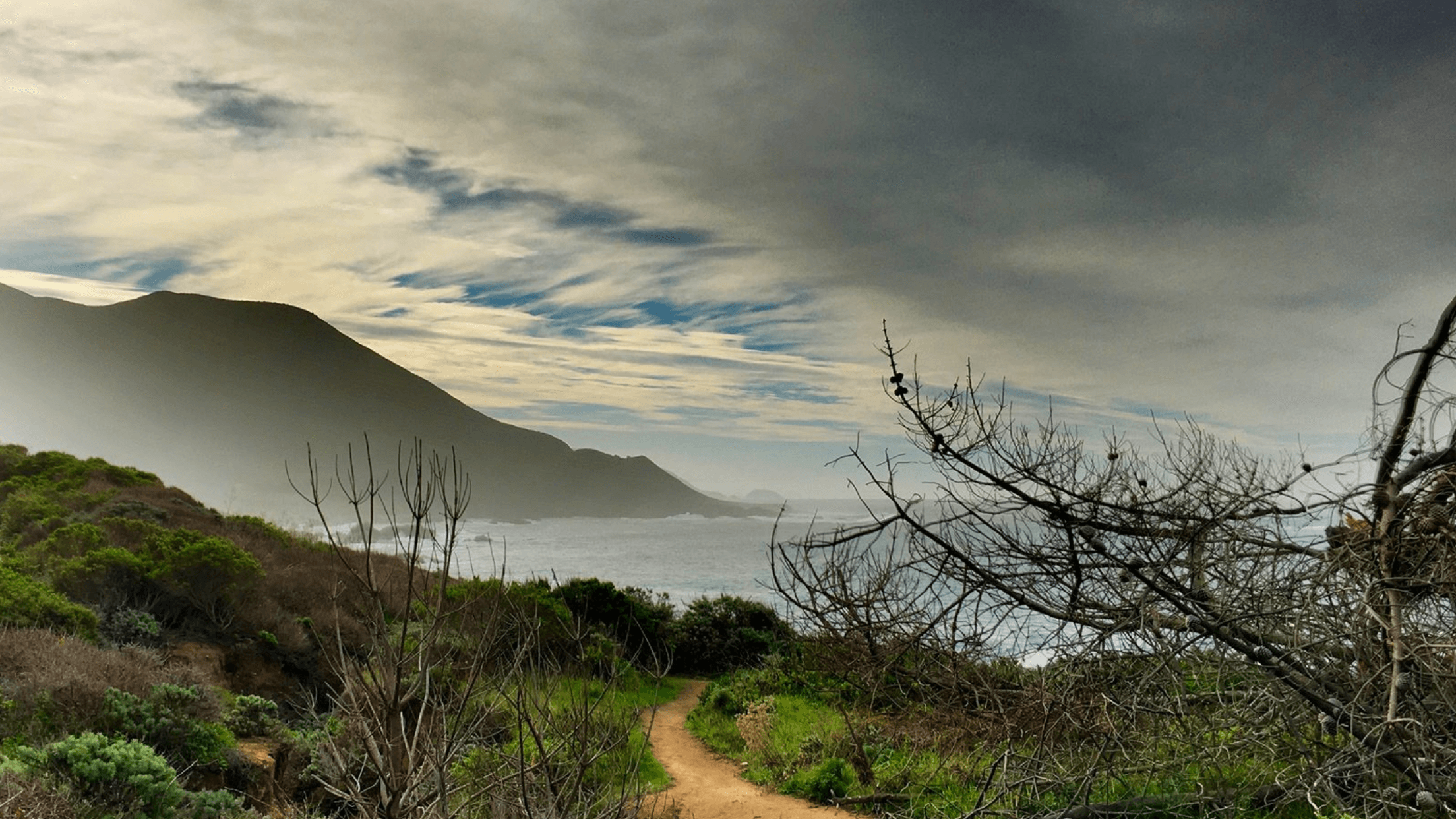 Secluded Ocean Trail Nature Walk