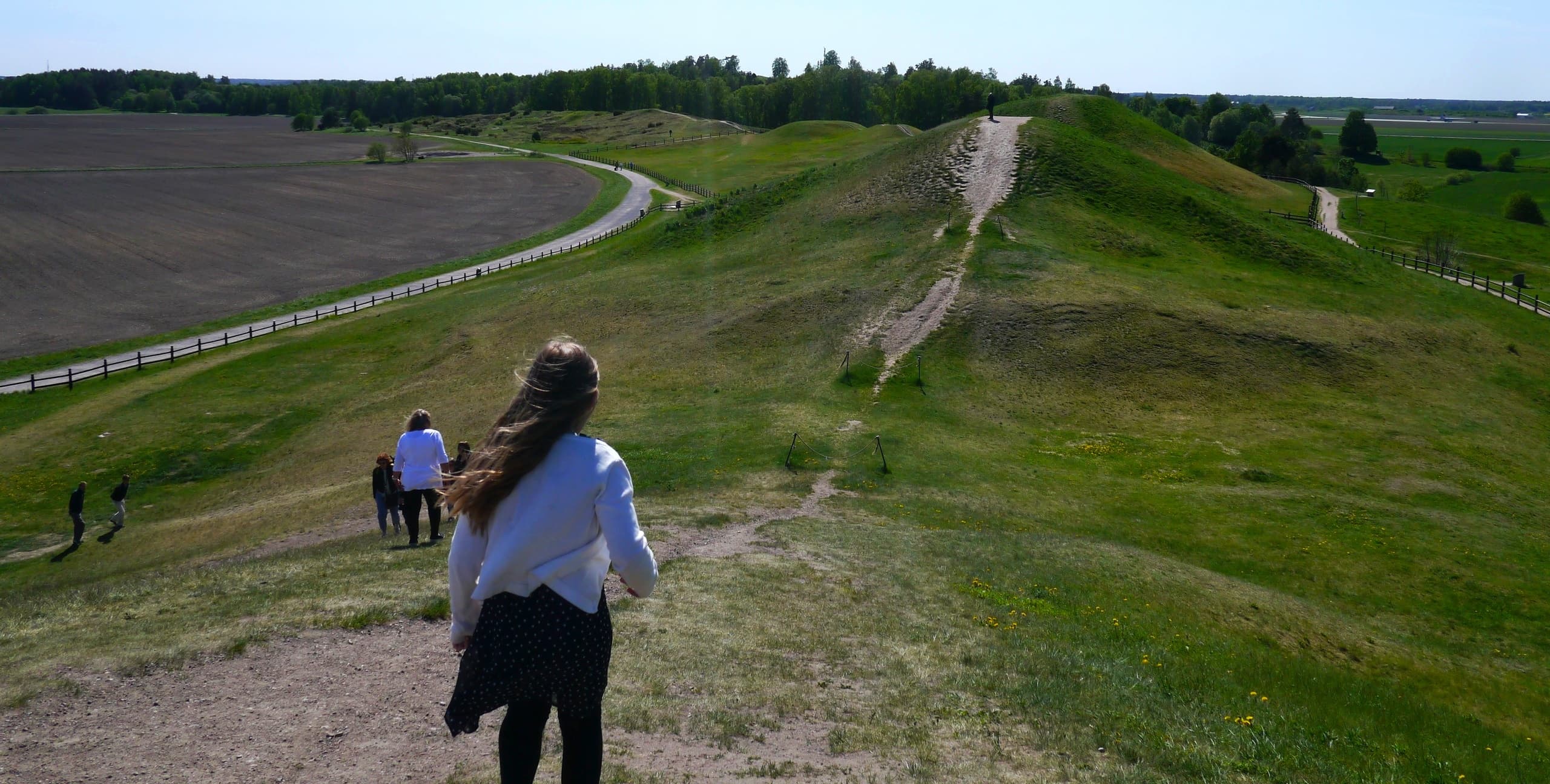 The Viking and Vendel era tour of Old Uppsala, 90min